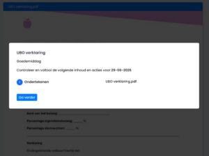 Stap 4 - Ondertekenen met de geverifieerde identiteit